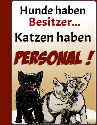 Produktbild von vianmo Holzschild 40x30 cm Hunde haben Besitzer Katzen