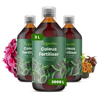 Produktbild von Coleus Flüssigdünger 3x1L – 3-4-3 NPK – Flüssigdünger Für Zierpflanzen – Für Blätter & Intensive Farben – Fördert Wurzeln & Vitalität – Organifer