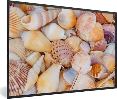 Produktbild von MuchoWow® Gerahmtes Poster Muscheln - Strand - Sommer - Orange 30x20 cm - Poster mit Schwarzem Bilderrahmen Wandposter Rahmen Foto Bilder - Kunstdruck - Bild-Poster