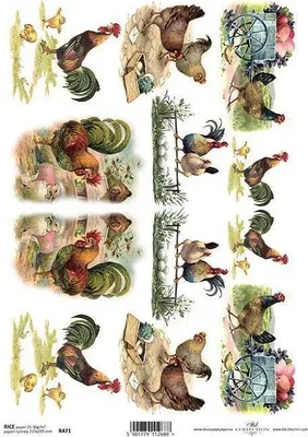 Produktbild von ITD Reispapier Decoupage Bastelpapier Softpapier Serviettentechnik, Hühner R471