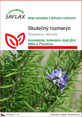 Obrázek produktu pro SAFLAX - Skutečný rozmarýn - Rosmarinus officinalis - 100 Semena