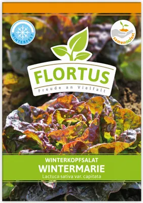 Produktbild von Winterkopfsalat Wintermarie | Kopfsalatsamen von FLORTUS