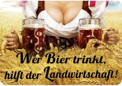 Produktbild von Kulthänger Blechschild Wer Bier trinkt hilft der Landwirtschaft KH 041
