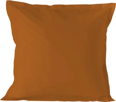 Image de Taie d'oreiller HappyFriday BASIC Terracotta 80 x 80 cm 15 x 1 x 38 cm