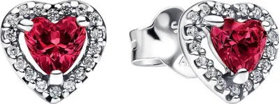 Produktbild von Paar Pandora-Ohrringe, 925Er Silber 298427C04