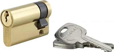 Image de Demi-cylindre de serrure, 40x10mm, anti-arrachement, laiton, 3 clés - THIRARD