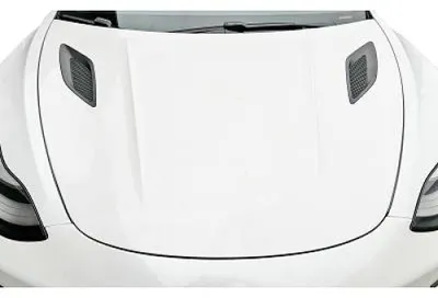 Image de DIEDERICHS 7930100 Capot avant pour TESLA MODEL 3 (5YJ3) 2017-