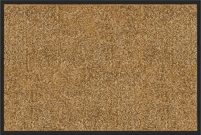 Produktbild von Floordirekt Schmutzfangmatte Rhine, Sauberlaufmatte rutschfest, waschbare Fußmatte Indoor Eingangsbereich, viele Größen & Farben - Beige, 60x90 cm