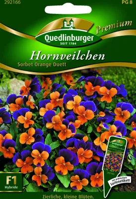 Produktbild von Hornveilchen, Sorbet Orange Duett
