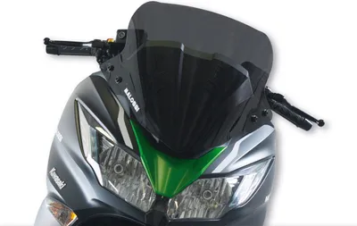 Immagine prodotto di Cupolino Malossi SPORT SCREEN fumé scuro 52x46 cm