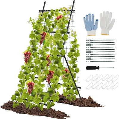Obrázek produktu pro Mřížka pro popínavé rostliny se zahradní sítí GT4298, 80 x 93 x 190 cm, černá