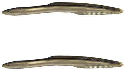 Produktbild von Gummiaale Raubfisch Köder natur 38 cm