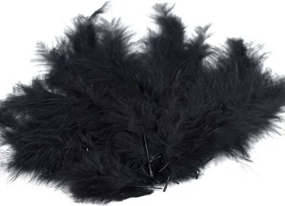 Zdjęcie produktu dla Piórka  strusie czarne 9-16cm