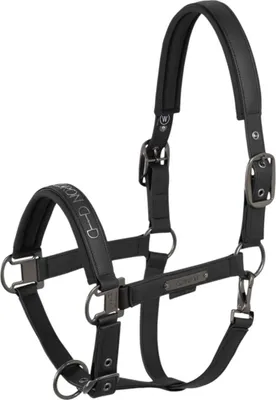 Produktbild von Eskadron Platinum Halfter " FAUX LEATHER DOUBLE PIN ", Lederhalfter, Stallhalfter Größe - X-Warmblut Farbe - black