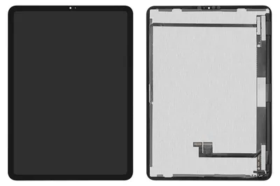 Produktbild von Display für iPad Pro 11 (2. Gen) 11 Zoll Schwarz IPS LCD ohne Rahmen Reparatur