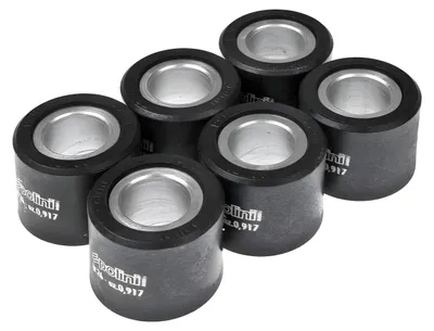 Image de Poids pour variateur Polini, ensemble comprenant 6 galets de 25 x 21,8 mm, poids de 16,3 g