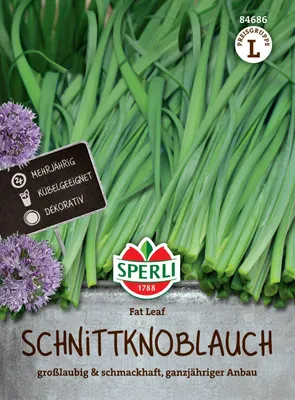 Artikelbild 2 von 'Schnitt-Knoblauch Fat Leaf' aus der Kategorie Knoblauchsamen