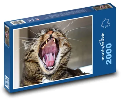 Obrázek produktu pro Puzzle 2000 Zívající kočka - martinpuzzle
