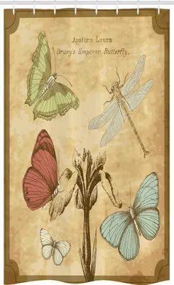 Image de ABAKUHAUS Libelle Rideau de douche étroit, motif papillon rétro, ensemble de décoration pour salle de bain en tissu avec crochets, 120 x 180 cm, sable brun caramel