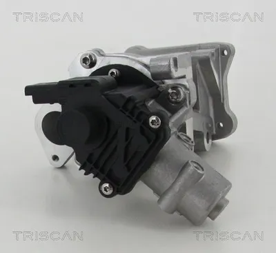 Produktbild von TRISCAN 8813 10007 AGR-Ventil mit Dichtungen für FORD MONDEO IV Turnier (BA7) Abgasrückführungsventil