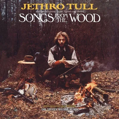 Zdjęcie produktu dla Jethro Tull - Songs From The Wood (40th Anniversary)