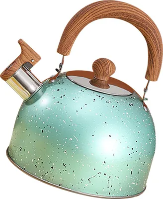 Imagen del producto de Hervidor de acero inoxidable, tipo silbato, gran capacidad, base plana para cocinas de gas e inducción, capacidad de 2 litros, color verde