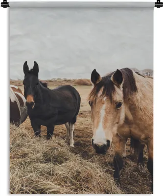 Produktbild von MuchoWow® Wandteppich Wandbehang Tiere - Pferd 90x120 cm Tapisserie Dekoration Wandtuch - Wanddeko