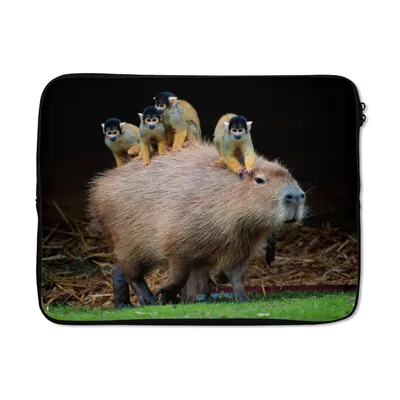 Produktbild von MuchoWow® Laptop Hülle 17 Zoll Laptoptasche Ein Capybara mit Affen darauf - Zipper - Schutzabdeckung