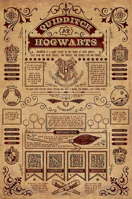 Obrázok produktu pre Plagát Harry Potter Quidditch v Bradaviciach 61x91,5cm