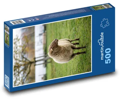 Obrázek produktu pro Puzzle 500 Klidná ovce na louce - martinpuzzle