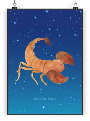 Produktbild von Mr. & Mrs. Panda Bild Sternzeichen Skorpion Classic DIN A5 - Sternenhimmel Blau - Geschenk, Plakat, Skorpione, drucke, Posterdruck, wanddeko, Geburtstag November, Oktober