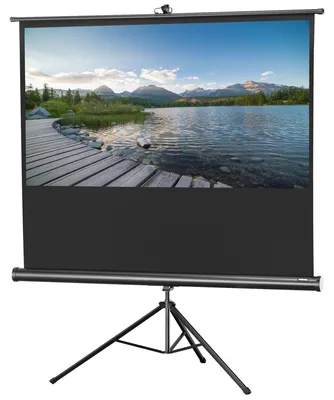 Produktbild von Celexon 1090260, 16:9, Schwarz, Weiß