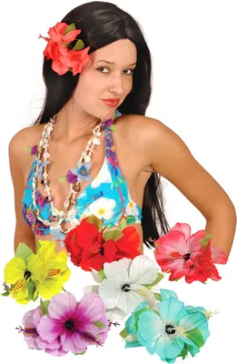Produktbild von Hawaii Haarspange weiß - Kostüm Zubehör Karneval
