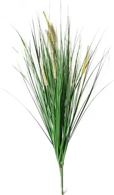 Produktbild von Kunstpflanze Gräser 74 cm Flora