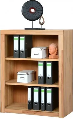 Produktbild von Standregal Aktenregal Bücherschrank Kernbuche teilmassiv
