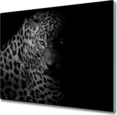 Produktbild von Glas Herdabdeckplatte 60x52 cm Spritzschutz Glasabdeckplatte Schneidebrett Leopard