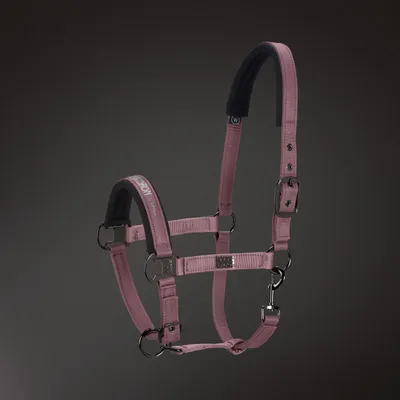 Produktbild von Eskadron Platinum Halfter " GLOSSY " Größe - X-Warmblut Farbe - blossom