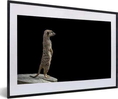 Produktbild von MuchoWow® Gerahmtes Poster Erdmännchen - Wilde Tiere - Schwarz 60x40 cm - Poster mit Schwarzem Bilderrahmen Wandposter Rahmen Foto Bilder - Schlafzimmer - Plakat in Rahmen - Drucken