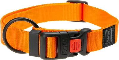 Immagine prodotto di Collare Karlie Art Sportiv Plus Mix and Match, colore:arancione, dimensioni:45 - 65 cm x 25 mm