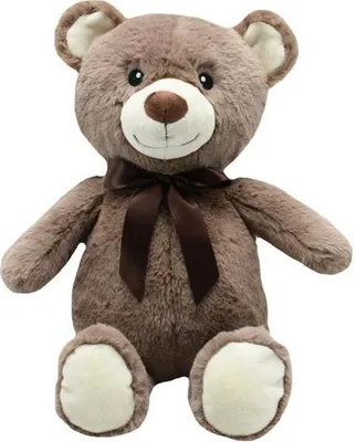 Produktbild von Plüschtier Miś Zbyś 30cm