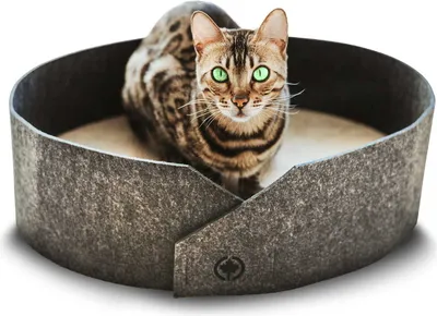 Produktbild von Katzenbett OWEN · Kratzpappe · Filzrand mit Kratzboden · Hellgrau