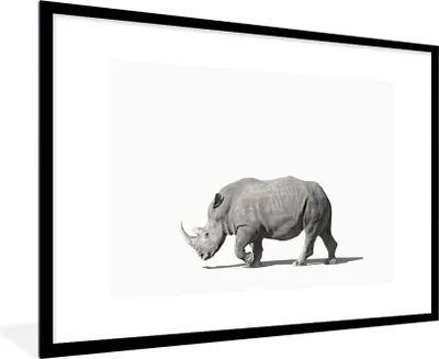Produktbild von MuchoWow® Gerahmtes Poster Rhinozeros - Tiere - Weiß 90x60 cm - Poster mit Schwarzem Bilderrahmen Wandposter Rahmen Foto Bilder - Wanddekoration - Fotos