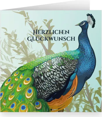 Produktbild von Elegante quadratische Vintage Glückwunschkarte mit Pfau: Herzlichen Glückwunsch