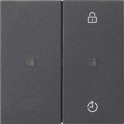 Image de Gira Module deradiofréquence Memory anthracite 549328 (549328)