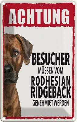 Produktbild von vianmo Blechschild 18x12 cm Tiere Achtung Rodhesian Ridgeback Hund