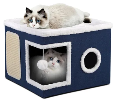 Image de Maison pliable pour chat, idéale pour l'intérieur, avec griffoir et jouet à balle