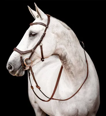 Produktbild von Horseware Ireland Trense Micklem 2 Competition Bridle Micklemtrense Dark Havana Pony