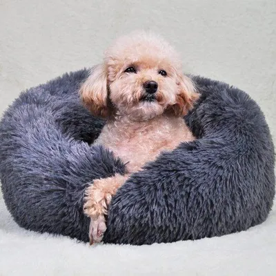 Immagine prodotto di Cuccia rassicurante in peluche da 50 cm per cani di piccola taglia e gatti
