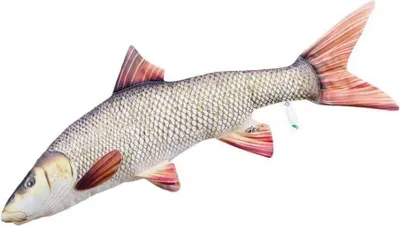 Produktbild von Gaby Das Barbel Medium Kissen Golden  Golden One Size