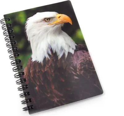 Produktbild von 3D Notizbuch - Weißkopfseeadler - klein
